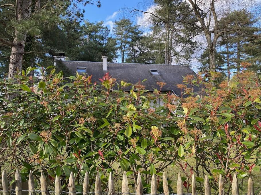 Le Rosa: Villa De Charme Entre Mer Et Pinede Quend Exterior photo